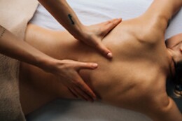 Olisticum