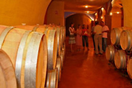 BODEGAS PAGO DE ALMARAES
