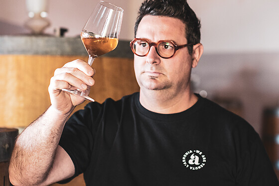 Tenuta L'armonia - photo 2