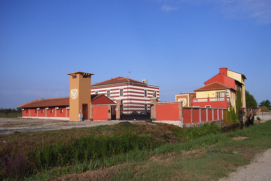 Tenuta del Vecchio Mulino - photo 17