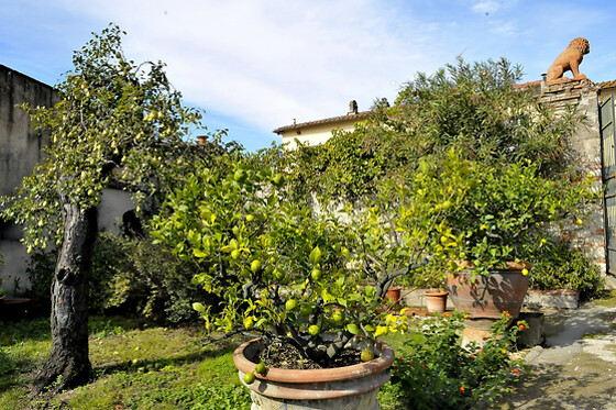 Tenuta San Donato - photo 1