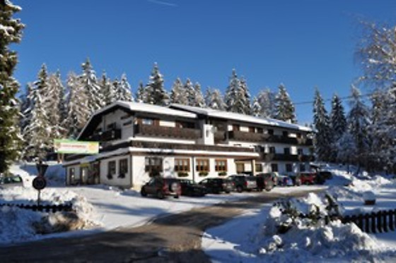 Hotel Rifugio Sores - photo 1