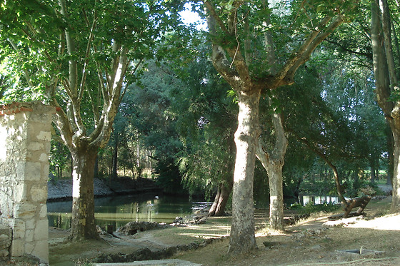 EL RINCON DEL LABRADOR - photo 7