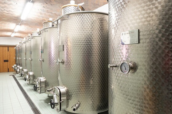 Cantina El Zeremia - photo 4