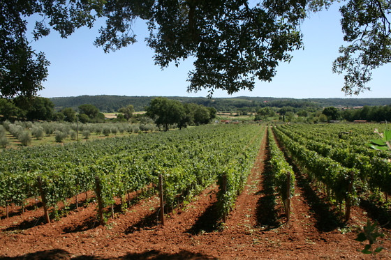 Podere La Regola - photo 0