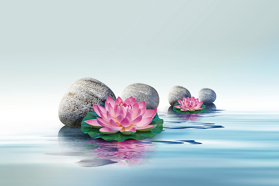 Silva Massagen Therapie Beauty - photo 0