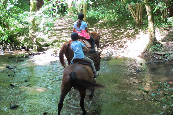 Ferme du Lac - photo 4