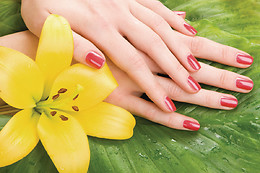 SALON DE BELLEZA Y PELUQUERÍA SIRENAS
