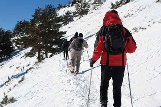 AVENTURA TORRELINO - photo 4