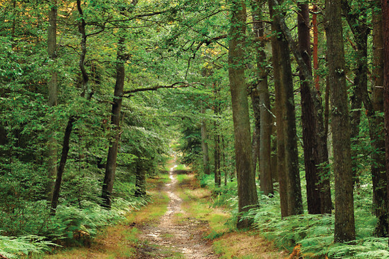 Les Naturelles Insolites - photo 0