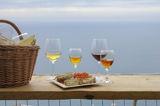 Cantina Capellini - photo 4