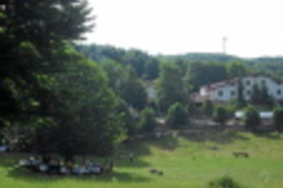 Albergo Rifugio del Cinghiale - photo 10