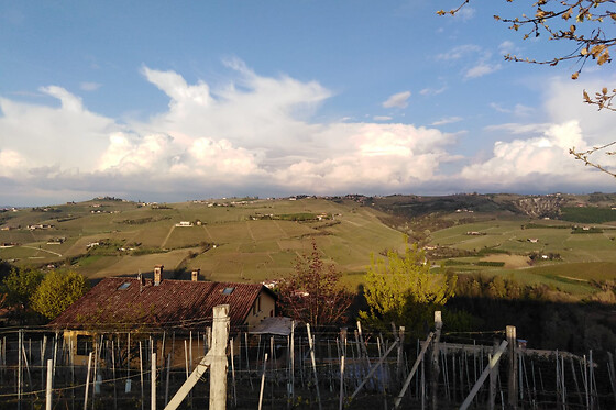 AZIENDA AGRICOLA ABELLONIO ROBERTO CASCINA PICCALUGA - photo 0