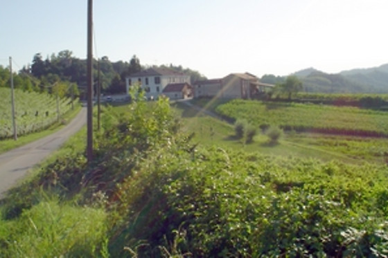 Agriturismo Cascina Zenevrea - photo 4