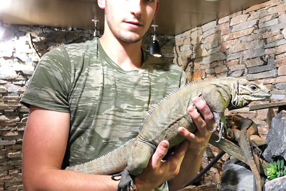 Mike's Reptipark - photo 0