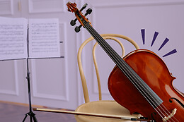 Orchestra Srl