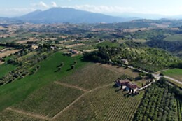 Cantina D'Erasmo