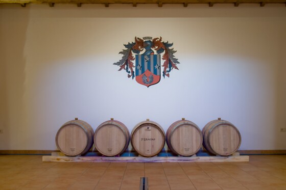 Cantina D'Erasmo - photo 1