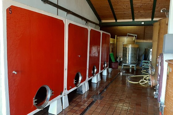 Montepascolo - photo 2