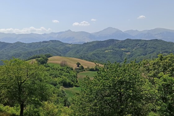 Saecula Natural Village - photo 2