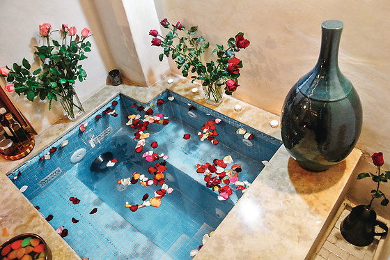 Samira Riads - photo 2