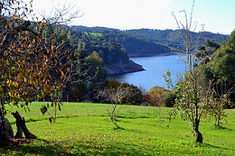 CASA FARRUCO