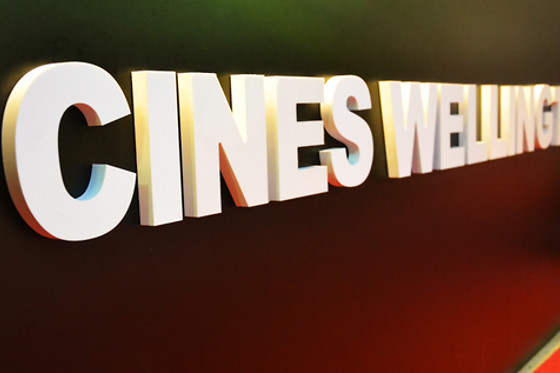 Cinéma Wellington - photo 7