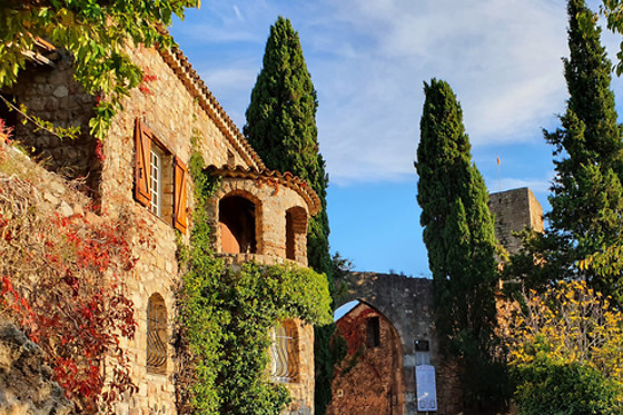 Valérie De Schoenmacker - Visites guidées du Var - photo 0