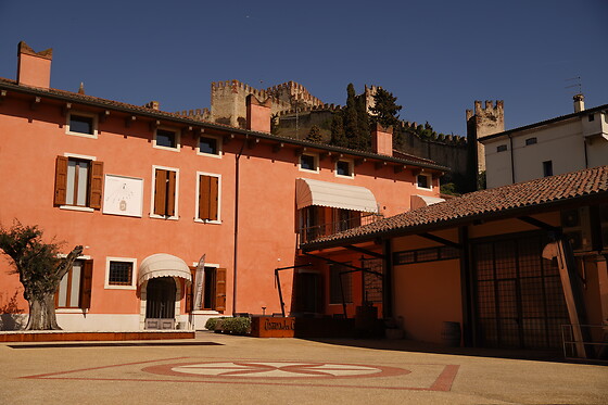 Cantina Castello - photo 8
