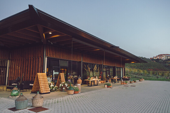 Bisson - photo 3