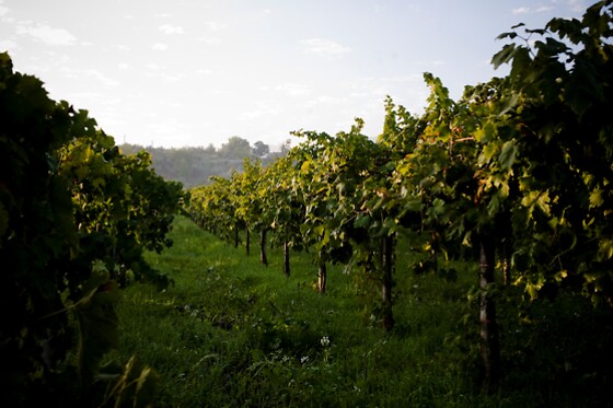 Casale Mattia - photo 2