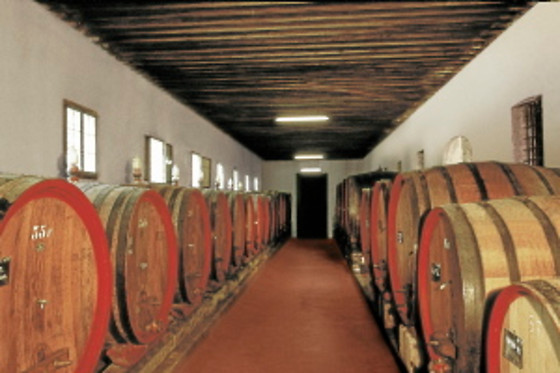 Azienda Agricola Rechsteiner - photo 1