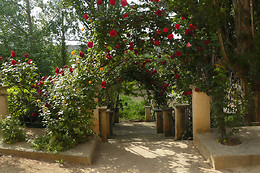 CASA RURAL TORRE DE CAMPOS