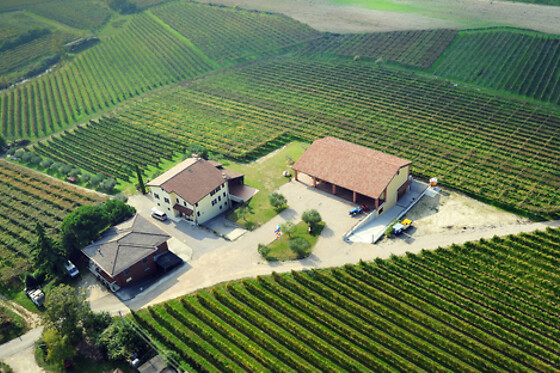 Azienda Agricola Il Pignetto - photo 0