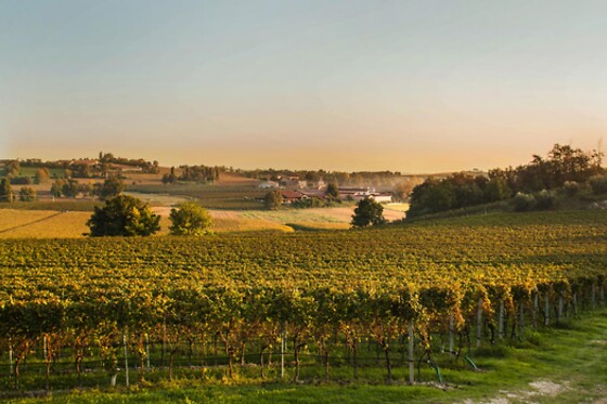 Cantina Bertagna - photo 6