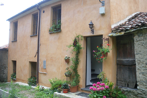 B&B Nelly G - photo 0