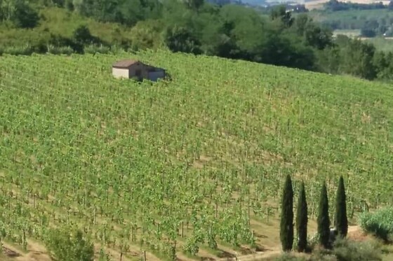 Pasqualetti Viticoltori - photo 1