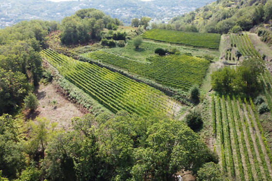 Tenuta del Cannavale - photo 1