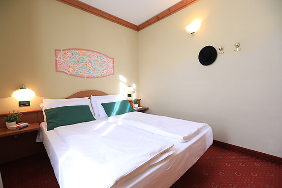 Swadeshi Club Hotels - photo 2