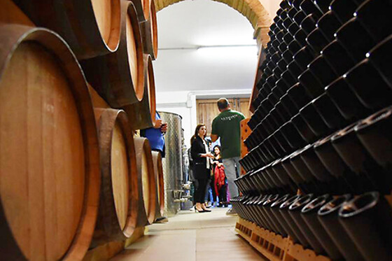 AZIENDA AGRICOLA LA VINARTE - photo 3