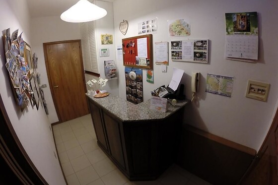 Online Booking EPS - photo 1