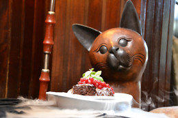O GATO DO RIO