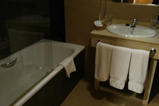 HOTEL ALFAGEME - photo 11