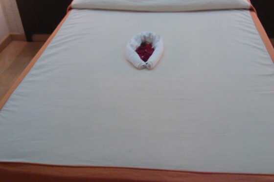 HOTEL ALFAGEME - photo 15