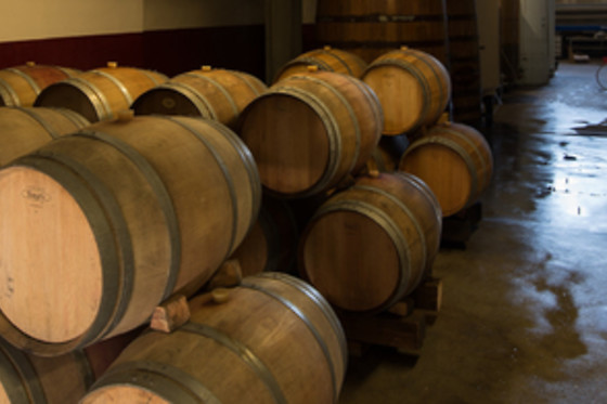 Cave des Vignerons de Saint-Sardos - photo 4